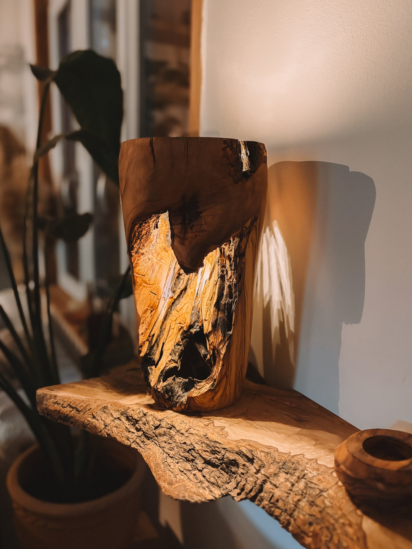 Lampe Olivier massif