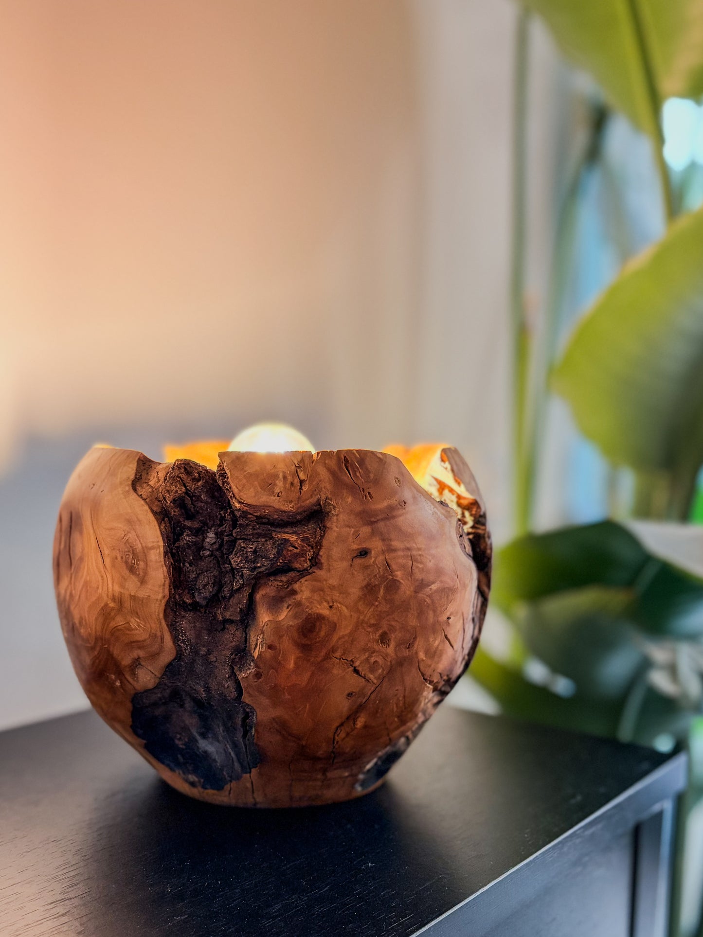 Lampe Olivier massif