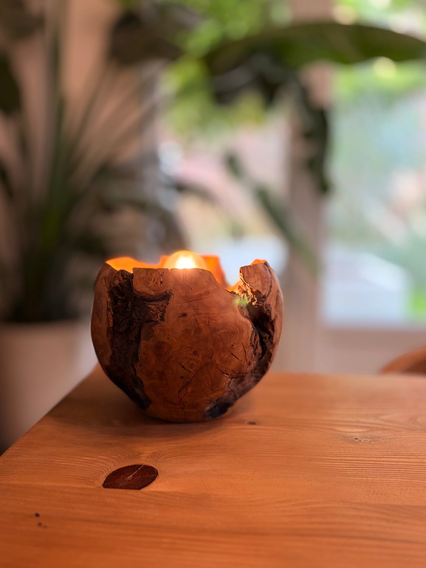 Lampe Olivier massif